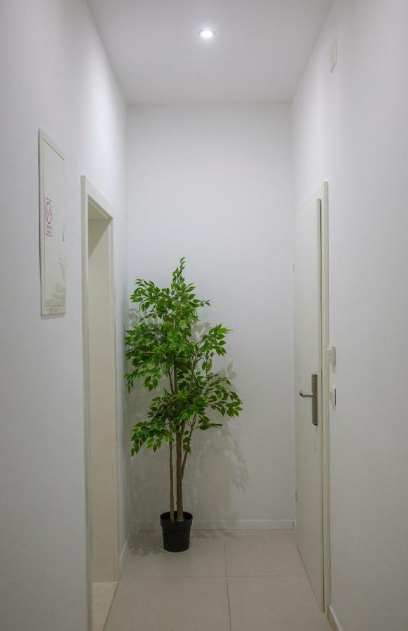 Victoria Appartement
