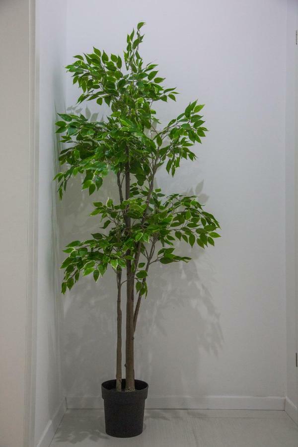 Appartement Victoria *